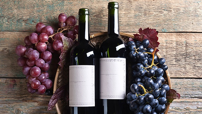 Grapes in a wine vineyard