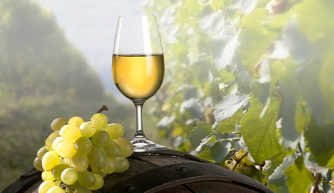 Glass of white wine on top of a barrel in a vineyard