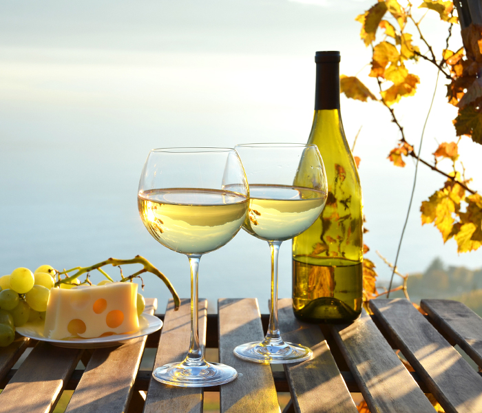 Glasses of wine in a vineyard