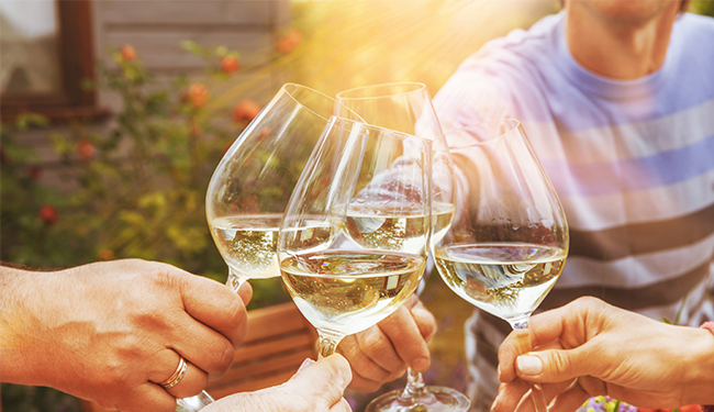 Glasses of wine in a vineyard