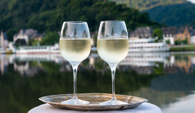 German wine in a vineyard