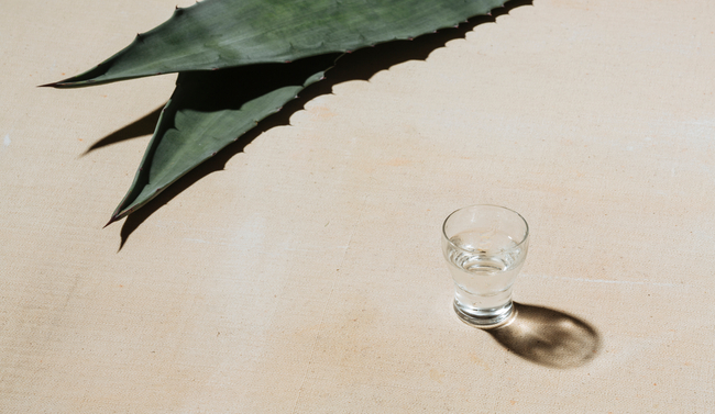 Shot of mexican distilled alcoholic beverage on a table with an agave leaf