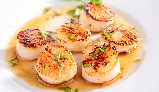 Seared scallops in a dish